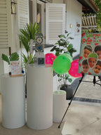 Decorative video guestbook setup with balloons, plants, and a poster in an indoor setting.